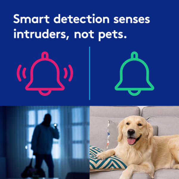 Ecommerce image with caption Smart detection senses intruders, not pets